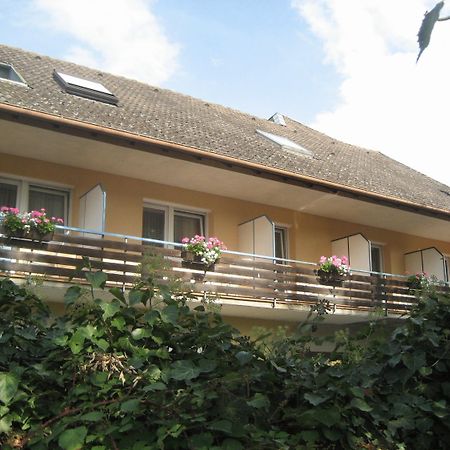 Gasthof Zum Engel Döttingen エクステリア 写真